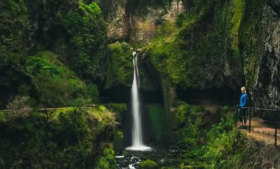 5 Things to do in Madeira